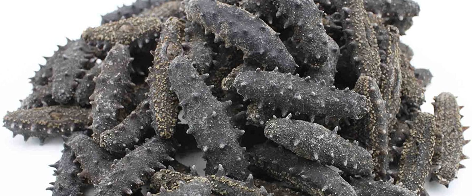 Buying Dried Sea Cucumber How to Find the Best Quality and Price