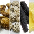Unlocking the Nutritional Treasure of Sea Cucumbers: A Deep Dive into Their Health Benefits