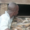 How Long Does it Take to Dry Sea Cucumbers?