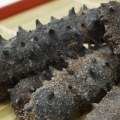 How to Boil Sea Cucumber for Perfection