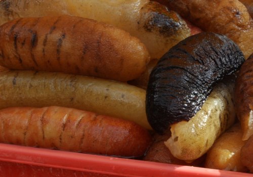How to Clean and Store Sea Cucumbers