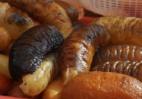 Harvesting Sea Cucumbers: A Comprehensive Guide