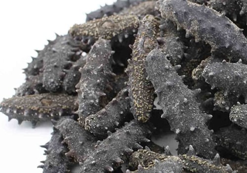 Buying Dried Sea Cucumber: How to Find the Best Quality and Price