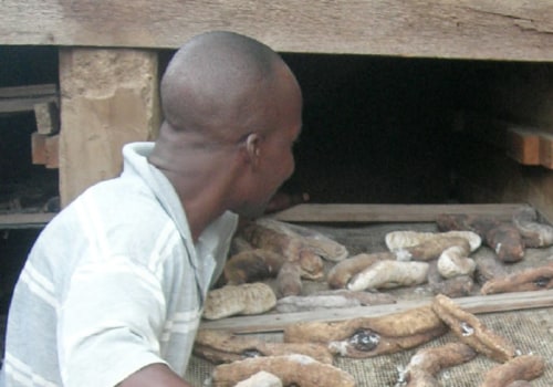 How Long Does it Take to Dry Sea Cucumbers?